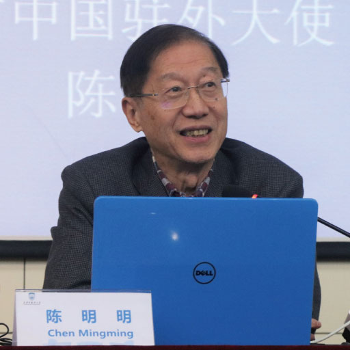 陈明明